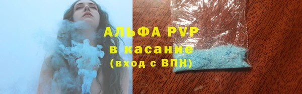 СК Богородицк