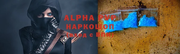сатива Беломорск