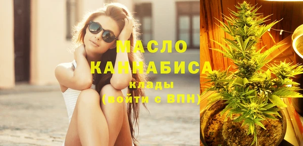 дмт Сатка