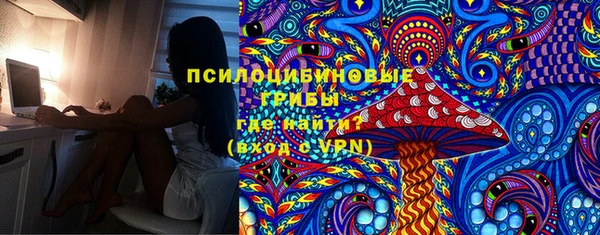 СК Богородицк