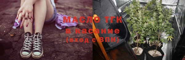 дмт Сатка