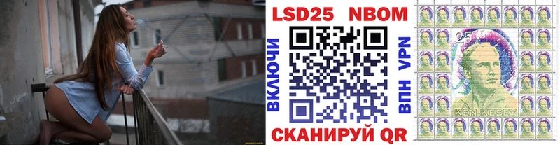 darknet наркотические препараты  закладки  Пестово  Марки NBOMe 1,8мг  МЕГА как войти 